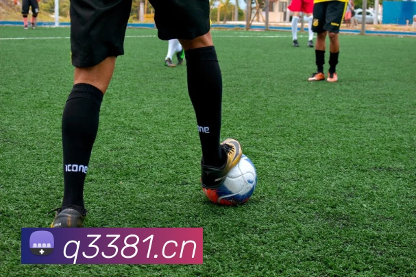 华体网体育官网服务体系